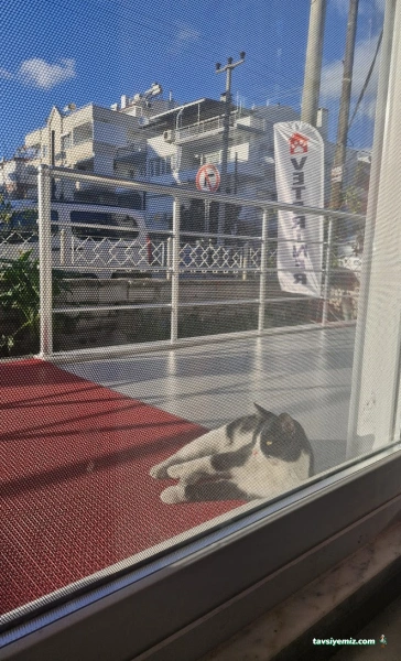 Akçay Veteriner Kliniği Akçay Veteriner Kliniği