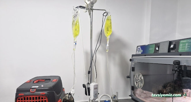 Akçay Veteriner Kliniği Akçay Veteriner Kliniği