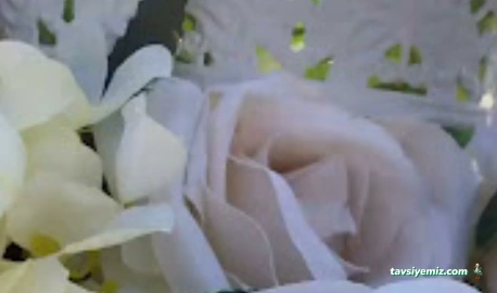 Akçe Organizasyon Bilecik