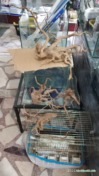 Aksan Akvaryum Aksan Akvaryum