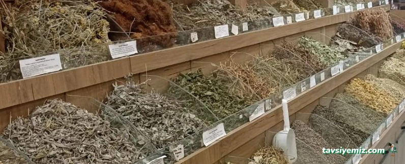 Aktar Ali Diyarbakır