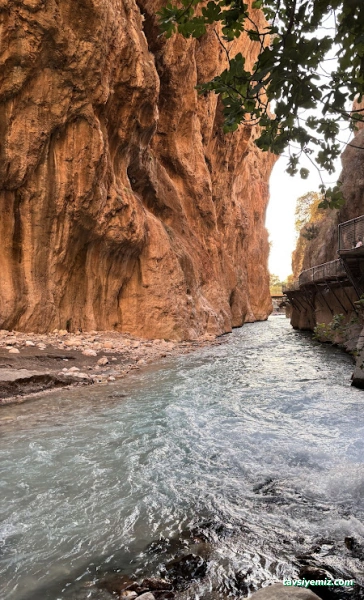 Aktivite Turizm (Ankara Şube) Aktivite Turizm (Ankara Şube)