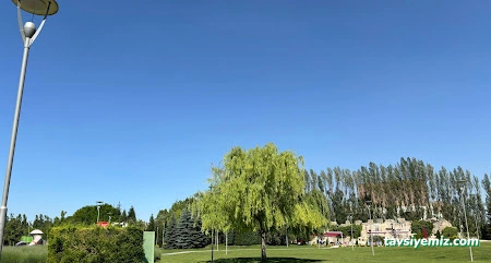 Aktivite Turizm (Ankara Şube) Aktivite Turizm (Ankara Şube)