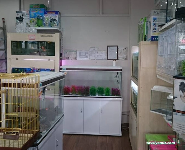Akvaryuss Pet Shop Akvaryuss Pet Shop