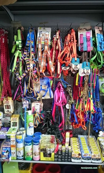 Akvaryuss Pet Shop Akvaryuss Pet Shop