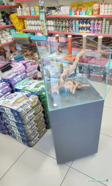 Ali Baba Petshop