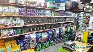 Alice Pet Shop Alice Pet Shop