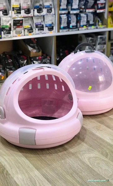 Alpemir Pet Shop Akvaryum Alpemir Pet Shop Akvaryum