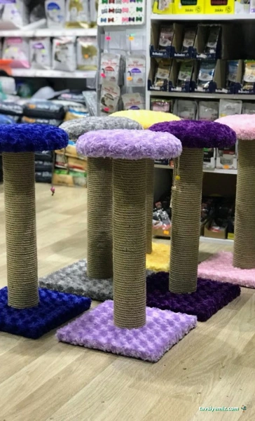 Alpemir Pet Shop Akvaryum Alpemir Pet Shop Akvaryum