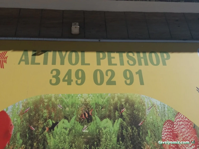 Altı Yol Pet Shop Altı Yol Pet Shop