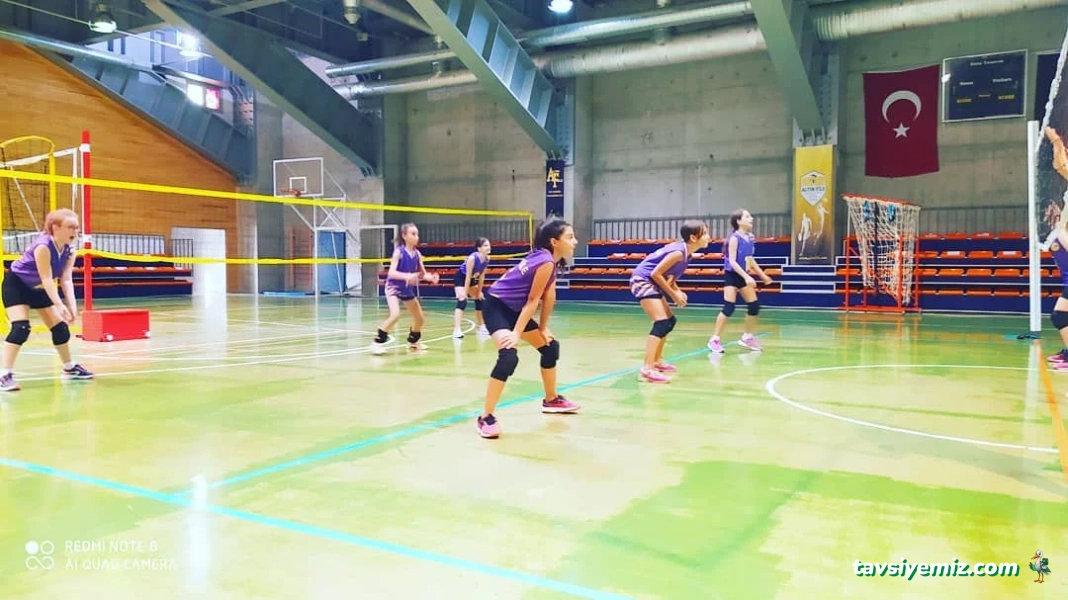 Altın File Gençlik Ve Spor Kulübü Altın File Gençlik Ve Spor Kulübü