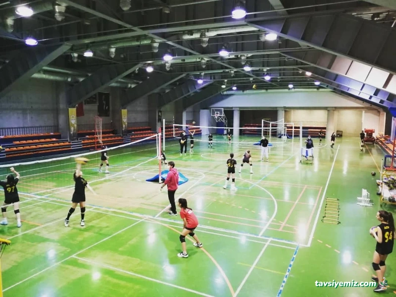 Altın File Gençlik Ve Spor Kulübü Altın File Gençlik Ve Spor Kulübü