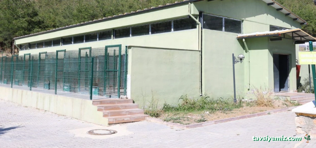 Amasya Hayvan Barınağı