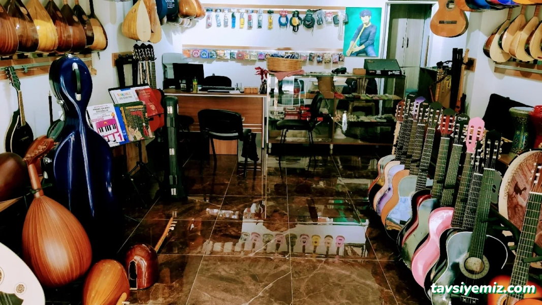 Anatolia Sanat Evi Müzik Mağazası