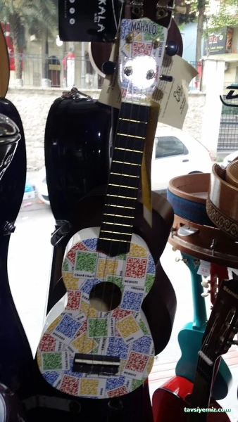 Anatolia Sanat Evi Müzik Mağazası