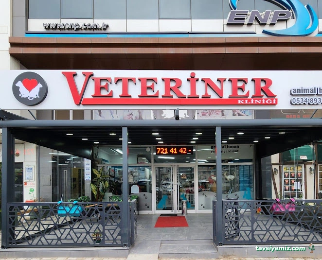Animal Home Veteriner Klınığı Animal Home Veteriner Klınığı