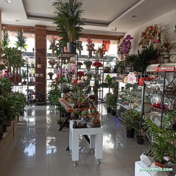 Antalya Çiçek Antalya Çiçek