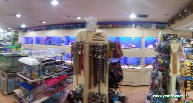 Antares Egece Petshop
