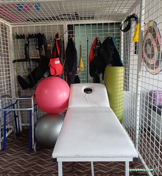 Ardahan Fizyoterapist / Fzt. İlhami Yavuz