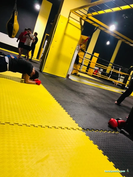 Arlı Spor Kulübü Arlı Spor Kulübü