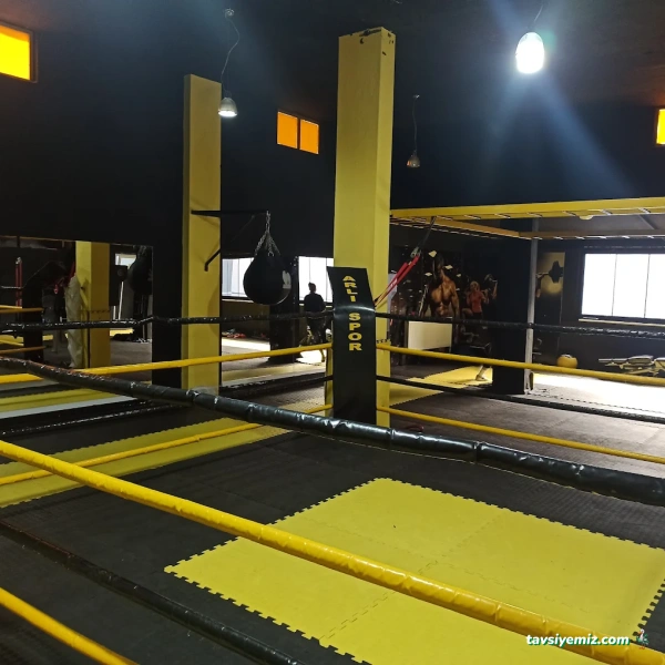 Arlı Spor Kulübü Arlı Spor Kulübü