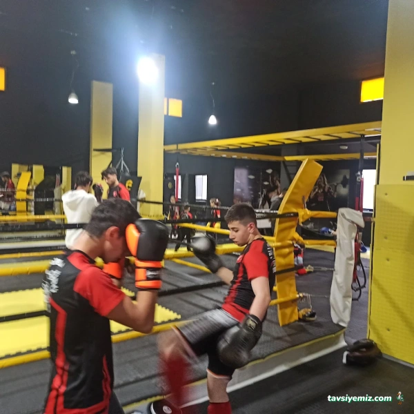 Arlı Spor Kulübü Arlı Spor Kulübü