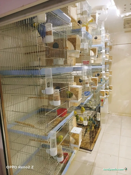 Arslan Pet Shop Arslan Pet Shop