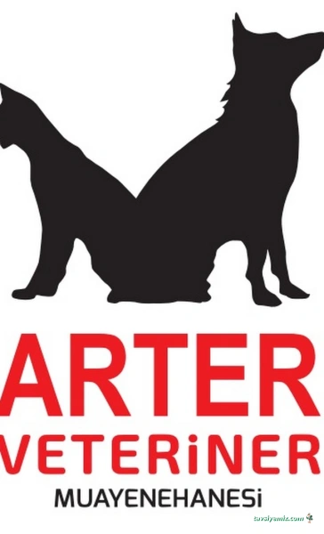 Arter Veteriner Muayenehanesi Arter Veteriner Muayenehanesi