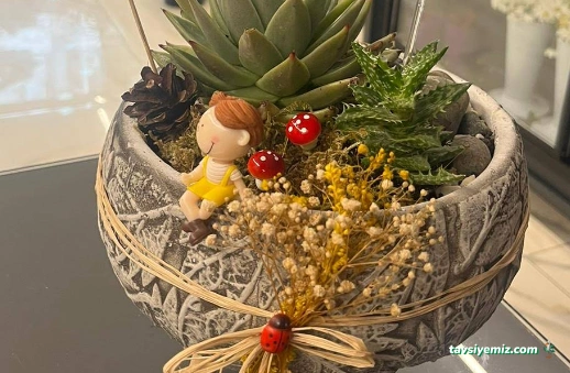 Artvinde Çiçekçi My Garden Çiçekçilik