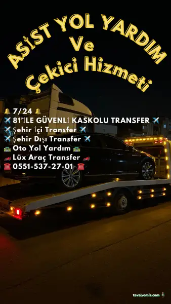 Asist Yol Yardım