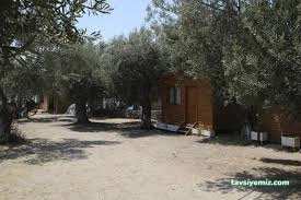 Assos Çaça Camping Bungalov Assos Çaça Camping Bungalov