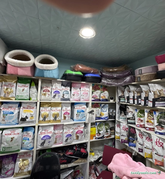 Ataköy Ezgi Petshop Ataköy Ezgi Petshop