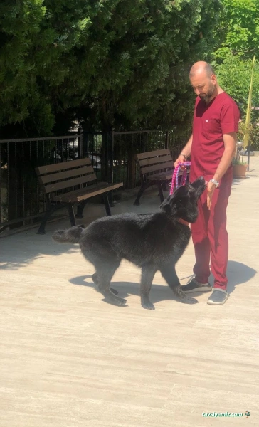 Ataşehir Veteriner Kliniği - Ataşehir 7/24 Veteriner - Acil Veteriner Ataşehir Veteriner Kliniği - Ataşehir 7/24 Veteriner - Acil Veteriner