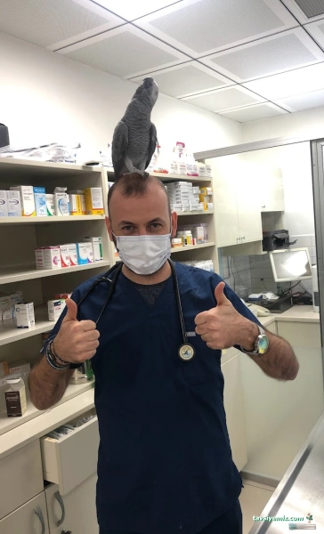 Ataşehir Veteriner Kliniği - Ataşehir 7/24 Veteriner - Acil Veteriner Ataşehir Veteriner Kliniği - Ataşehir 7/24 Veteriner - Acil Veteriner