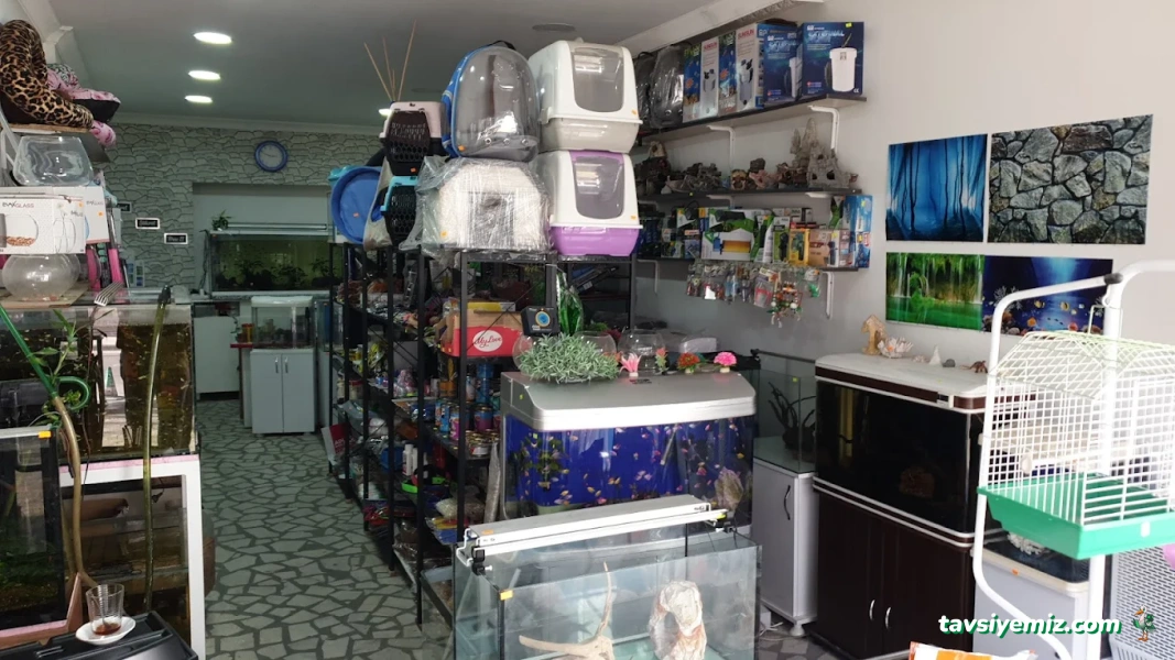 Atlantis Pet Shop Atlantis Pet Shop