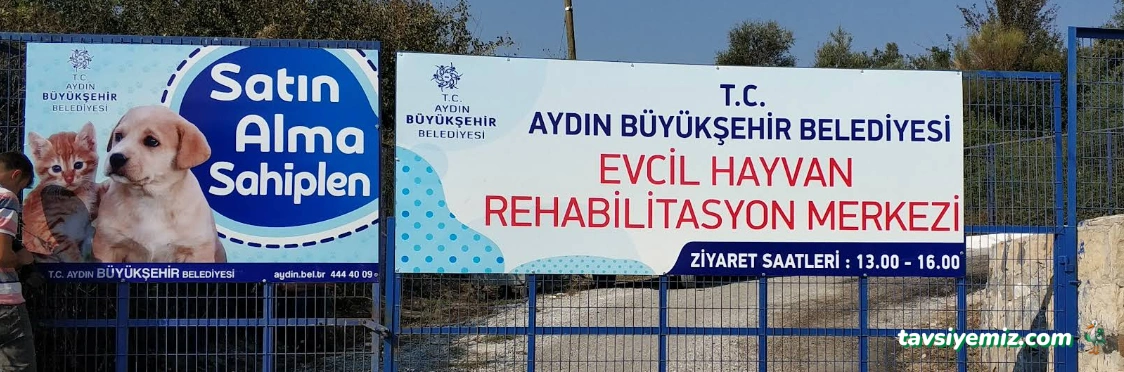 Aydın Evcil Hayvan Bakım Ve Rehabilitasyon Merkezi
