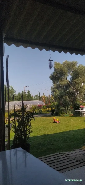 Aydın Peyzaj