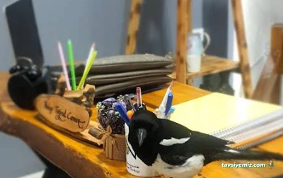 Aydında Psikolog Naime Camız Uzm.aile Danışmanı