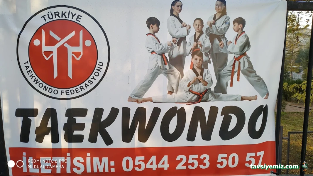 Aykaan Taekwondo Aykaan Taekwondo