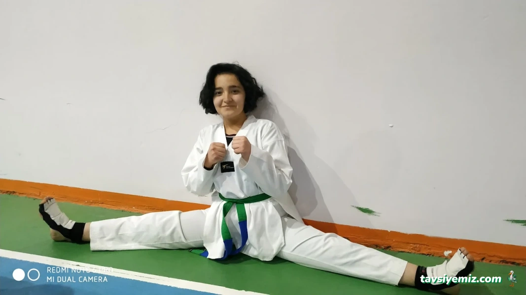 Aykaan Taekwondo Aykaan Taekwondo