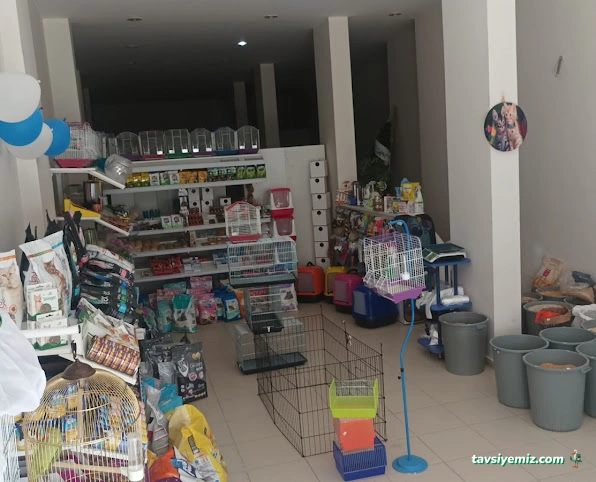 Aypati Petshop Aypati Petshop