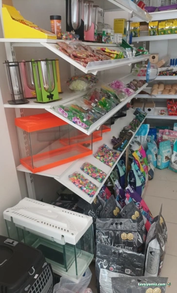 Aypati Petshop Aypati Petshop