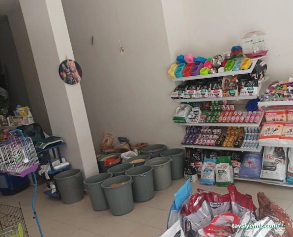 Aypati Petshop Aypati Petshop