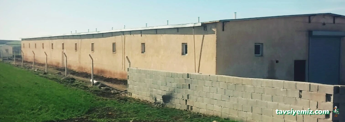 Aypin Hayvan Çiftligi