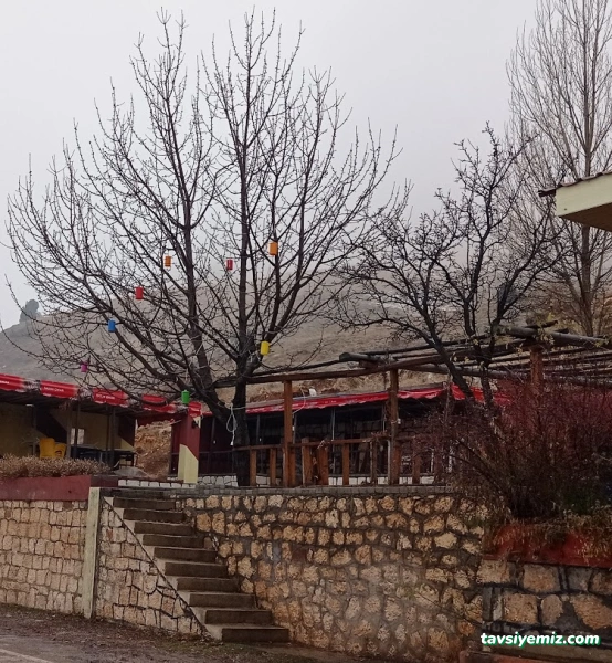 B. Çeşme Dinlenme Tesisi B. Çeşme Dinlenme Tesisi