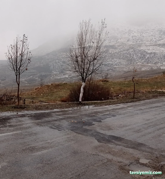 B. Çeşme Dinlenme Tesisi B. Çeşme Dinlenme Tesisi