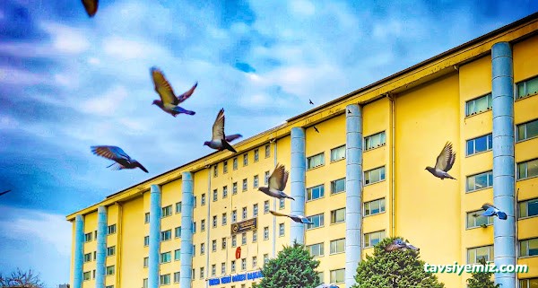Bursa Vergi Dairesi Başkanlığı Bursa Vergi Dairesi Başkanlığı