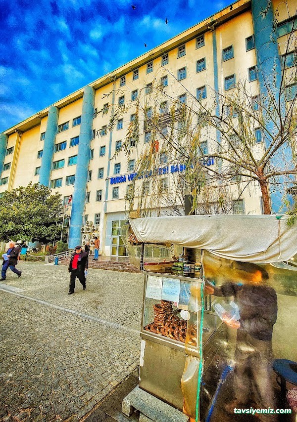Bursa Vergi Dairesi Başkanlığı Bursa Vergi Dairesi Başkanlığı