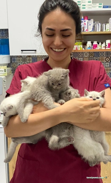 Bağcılar Acil Veteriner/Bağcılar Veteriner Kliniği