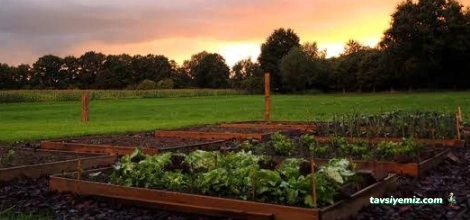 Bahçe Çapalama Ankara